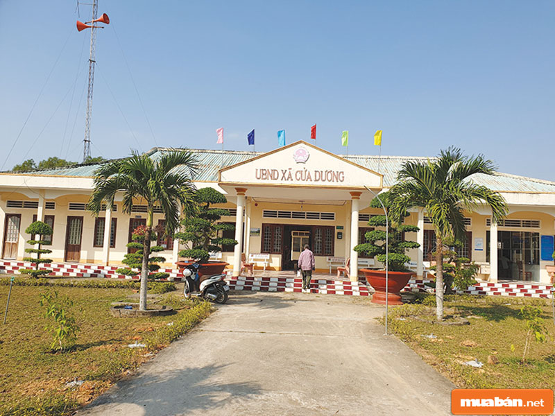 Việc Làm Phú Quốc - Những Công Việc Tiềm Năng Nhất 4 Các Cấp Chính Quyền Tạo Mọi Điều Kiện Để Mang Tới Việc Làm Cho Cư Dân