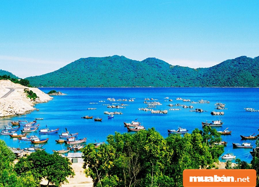 Mua bán nhà đất Tuy Hòa