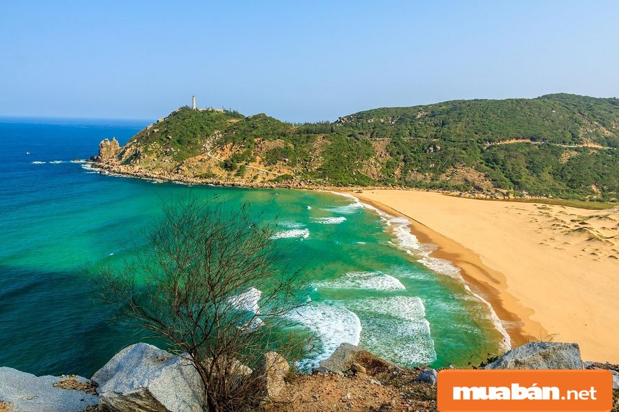 Mua bán nhà đất Tuy Hòa