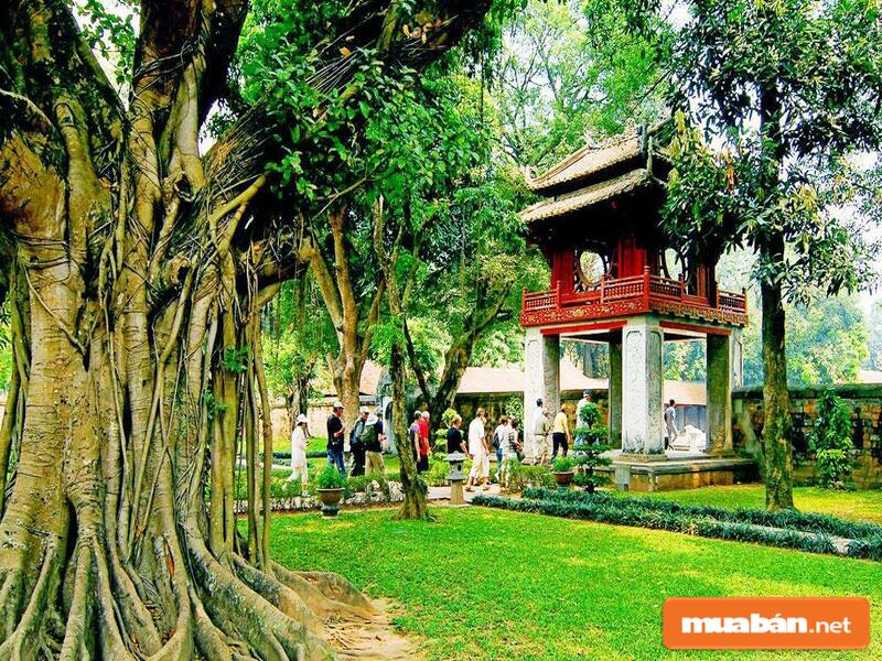 Đây là dịch vụ hoàn hảo cho khách du lịch