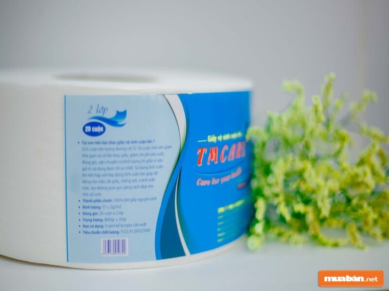 Ở Đâu Cung Cấp Giấy Vệ Sinh Giá Rẻ? 6 Hãy Chú Ý Tới Thương Hiệu Khi Tìm Nơi Cung Cấp Giấy Vệ Sinh Giá Rẻ Nhé