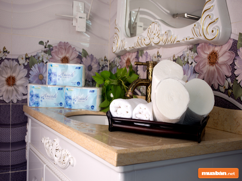 Ở Đâu Cung Cấp Giấy Vệ Sinh Giá Rẻ? 5 Giấy Vệ Sinh Chất Lượng Cao Được Làm Từ Những Nguyên Liệu Sạch