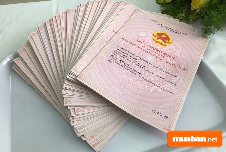 Nếu vì lý do nào đó mà không giao dịch được thì bên B phải hoàn trả lại 100% số tiền mà bên A đã giao cho bên B .