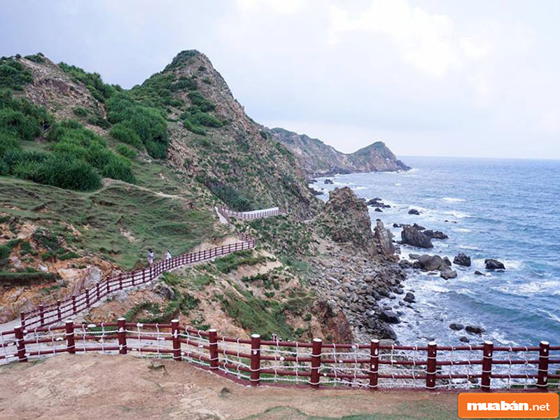 nhà đất bình định 02
