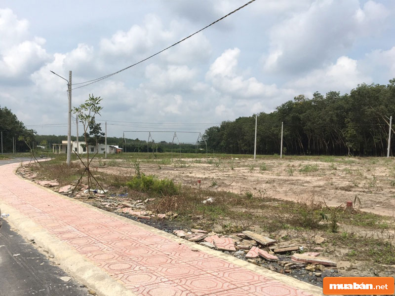 nhà đất bình định 06