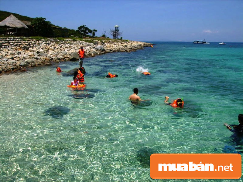 Tìm Việc Làm Nha Trang Liệu Có Dễ? Đâu Là Công Việc Phù Hợp Dành Cho Bạn 5 Việc Làm Nha Trang
