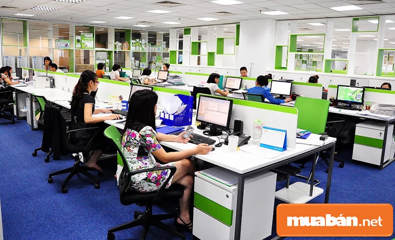 Tìm Việc Làm Nha Trang Liệu Có Dễ? Đâu Là Công Việc Phù Hợp Dành Cho Bạn 6 Việc Làm Nha Trang