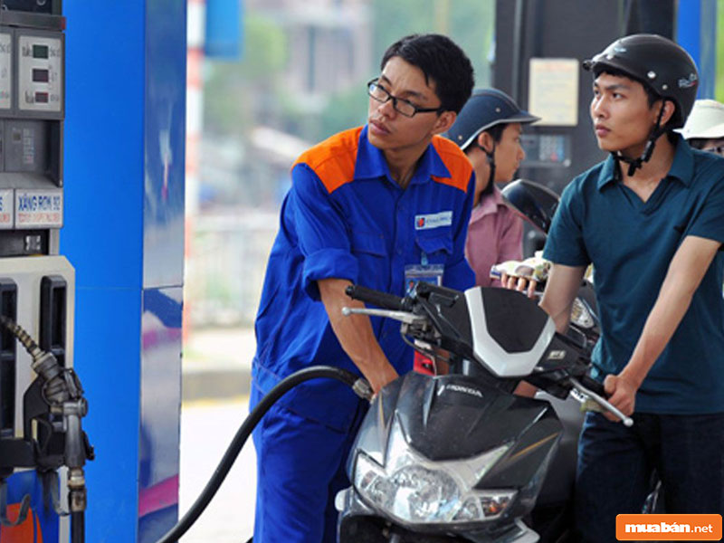 việc làm thêm cho sinh viên TP.HCM 06