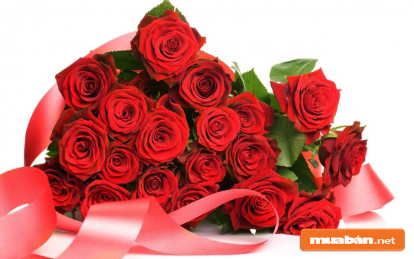 8 Tháng 3 Và Những Lời Chúc Ý Nghĩa Nhất Dành Tặng Phái Đẹp 6 8 Tháng 3