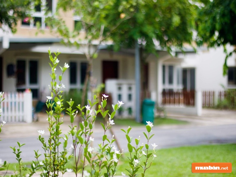 Eco Xuân Bình Dương Và Những Điều Bạn Cần Biết 2 Dự Án Này Đang Khiến Rất Nhiều Người Chú Ý