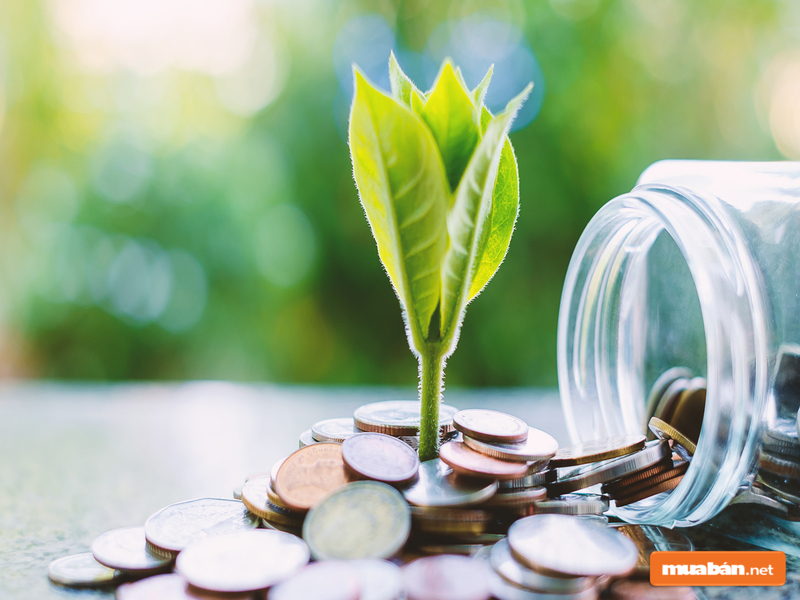 Eco Xuân Bình Dương Và Những Điều Bạn Cần Biết 8 Đầu Tư Vào Dự Án Này Là Một Quyết Định Thông Minh