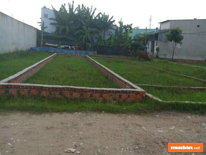 Đất Trồng Cây Lâu Năm Lên Thổ Cư: Hướng Dẫn Chuyển Đổi Nhanh Chóng 3 Nếu Thỏa Mãn Các Điều Kiện, Bạn Hoàn Toàn Có Thể Thực Hiện Được Việc Chuyển Đổi
