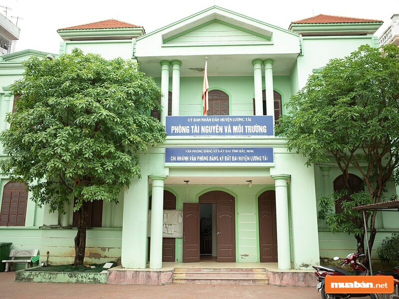 Đất Trồng Cây Lâu Năm Lên Thổ Cư: Hướng Dẫn Chuyển Đổi Nhanh Chóng 6 Đất Trồng Cây Lâu Năm Lên Thổ Cư Được Không?