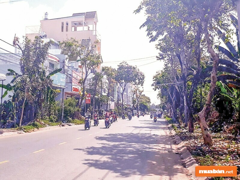 Đất Trồng Cây Lâu Năm Lên Thổ Cư: Hướng Dẫn Chuyển Đổi Nhanh Chóng 7 Hãy Cẩn Trọng Trong Quá Trình Thực Hiện Chuyển Đổi Quyền Sử Dụng Đất Nhé