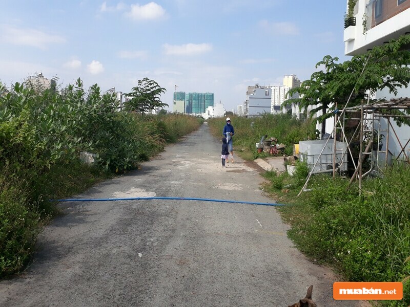Mua Bán Nhà Đất Quận Thủ Đức Và 5 Điều Cần Ghi Nhớ 3 Quỹ Đất Trống Của Khu Vực Còn Khá Lớn