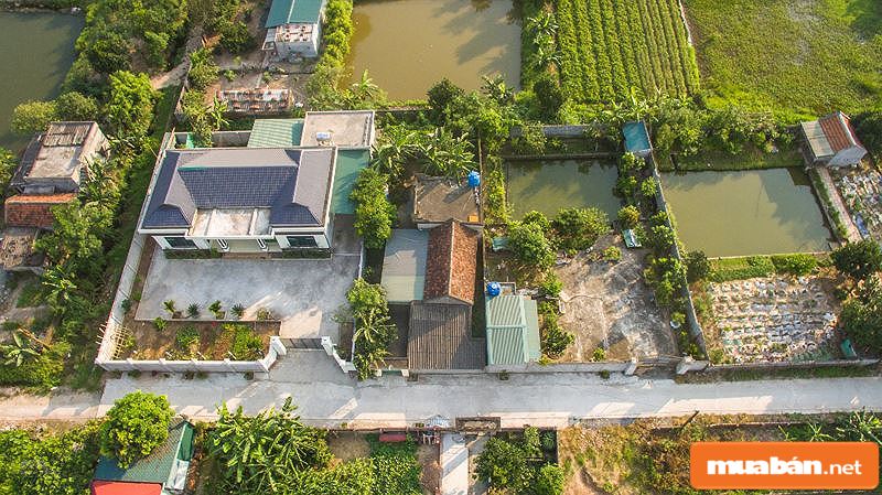 Bí Quyết Giúp Bạn Có Những &Quot;Phi Vụ&Quot; Mua Bán Nhà Đất Thái Bình Thành Công 4 Nhà Đất Thái Bình