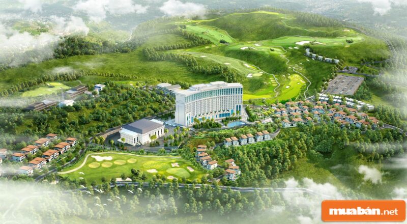 Bí Quyết Giúp Bạn Có Những &Quot;Phi Vụ&Quot; Mua Bán Nhà Đất Thái Bình Thành Công 5 Nhà Đất Thái Bình