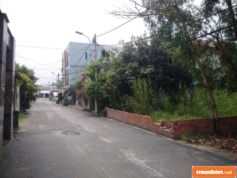 Mua Bán Nhà Đất Nhà Bè Với Chi Phí Hợp Lý Nhất 2 Muabannhadatnhabe1