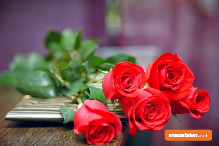 Quà 8 Tháng 3 Ý Nghĩa Bạn Không Nên Bỏ Qua! 2 Quà 8 Tháng 3