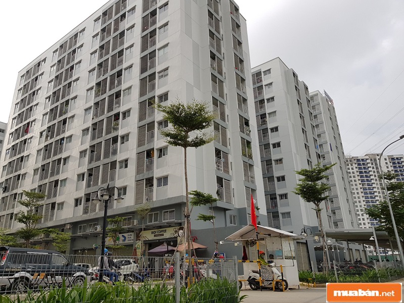 Hãy đảm bảo tìm hiểu kỹ lưỡng về hợp đồng mua bán nhà đất