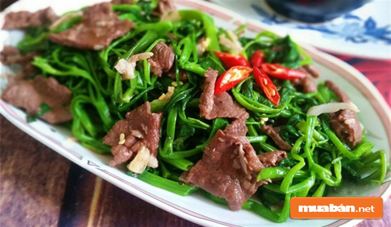Món Ngon Với Thịt Bò Trong Những Ngày Chống Dịch 5 Món Ngon Với Thịt Bò