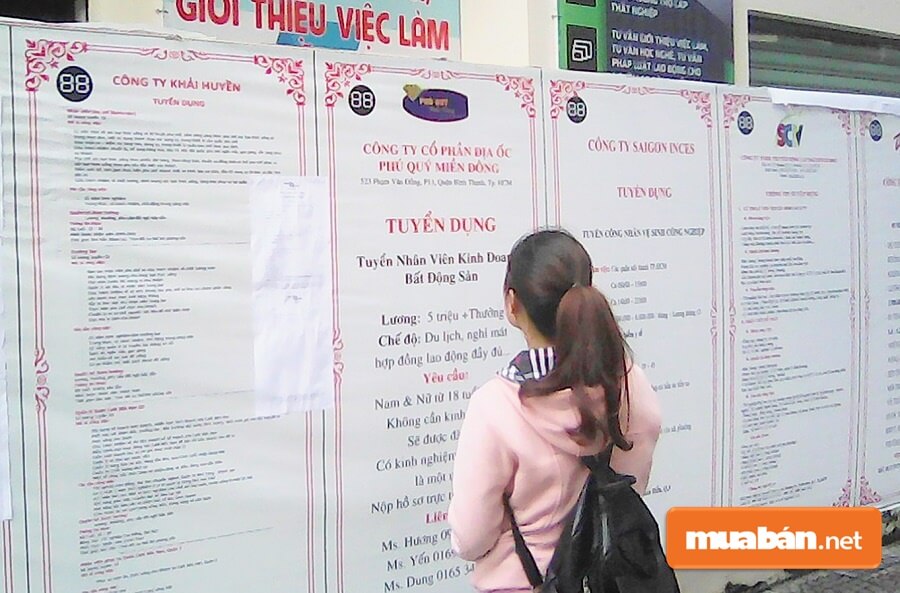 Nên xác nhận thông tin xem có phải đơn vị tuyển dụng đăng hay không, đừng vội vã nộp hồ sơ.