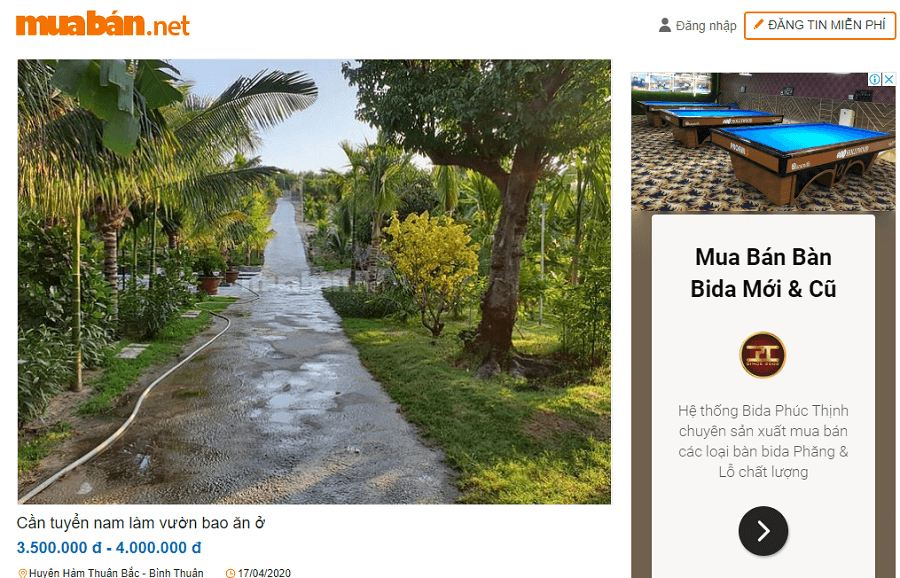 Nhiều nhà vườn, trang trại có nhu cầu tuyển nhân viên làm vườn để phụ chăm sóc cây cối khi công việc quá nhiều