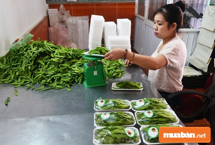 Việc Làm Đức Trọng Mùa Dịch Covid 19: Làm Gì Kiếm Thêm Thu Nhập? 10 Nếu Nhà Bạn Có Vườn Cây Công Nghiệp, Có Trồng Rau Xanh, Các Loại Củ Quả Thì Việc Làm Đức Trọng Hoàn Hảo Nhất Trong Mùa Dịch Chính Là Bán Nông Sản Của Gia Đình Mình.