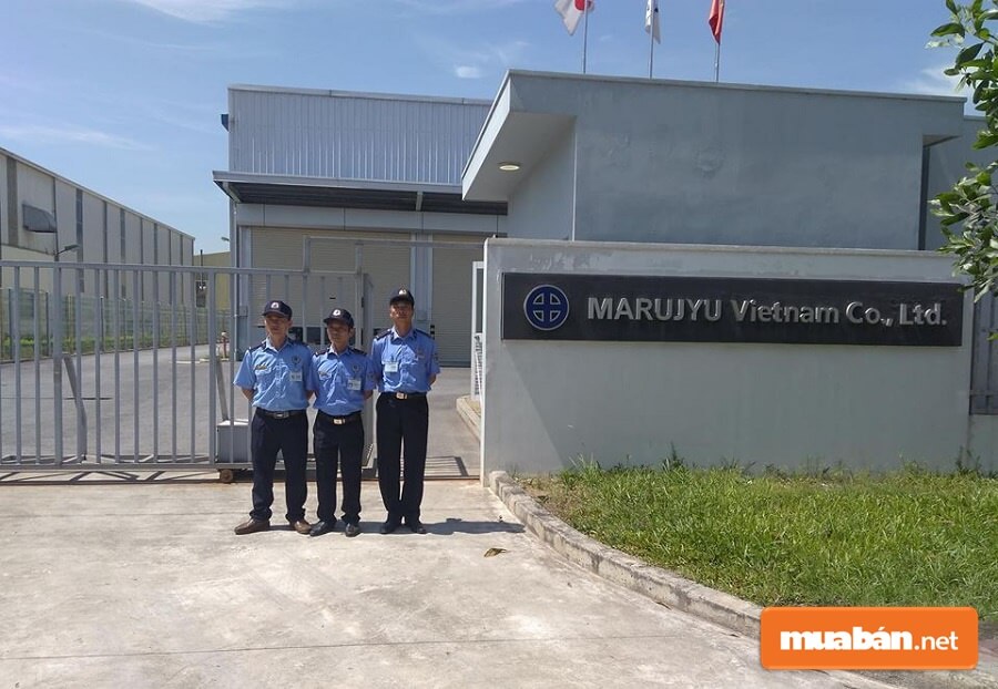 Nếu bạn muốn làm việc trong những nhà máy, xí nghiệp thì có thể ứng tuyển vào vị trí nhân viên bảo vệ tại các công ty thuộc khu công nghiệp, khu chế xuất
