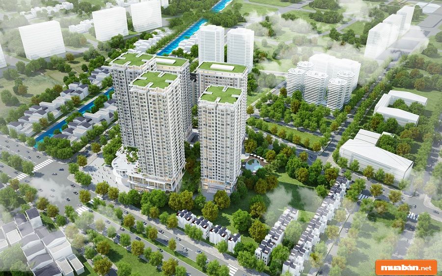 Iris Garden Thu Hút Khách Hàng Nhờ 5 Yếu Tố Này 9 Iris Garden