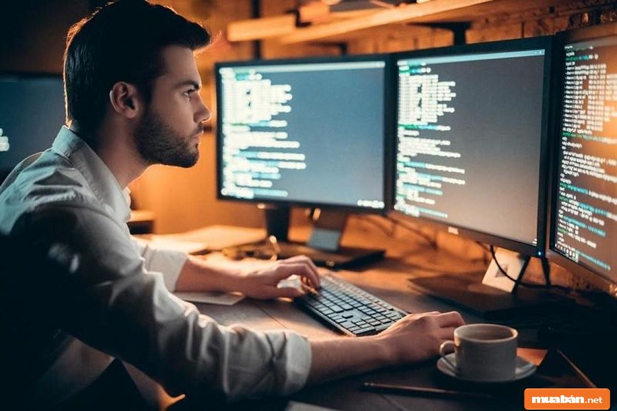 Lập Trình Viên Và Những Điều Có Thể Bạn Chưa Biết! 2 Lập Trình Viên
