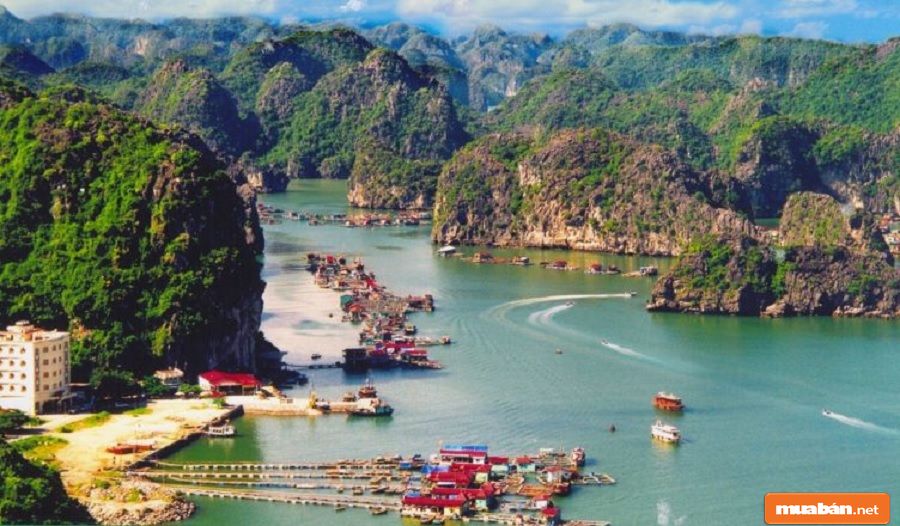 Nhà đất Hải Phòng