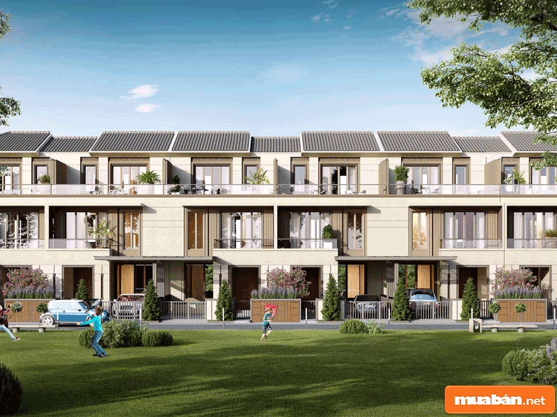 SwanBay 010