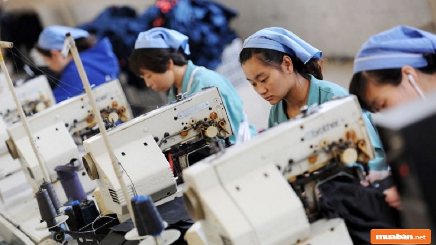 Bạn có thể đến những công ty chuyên về may mặc để xin việc làm.