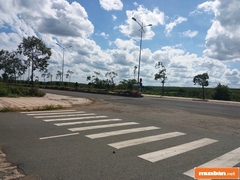 Bán Đất Phú Yên Với Những Tiềm Năng Vượt Bậc 4 Bandatphuyen3