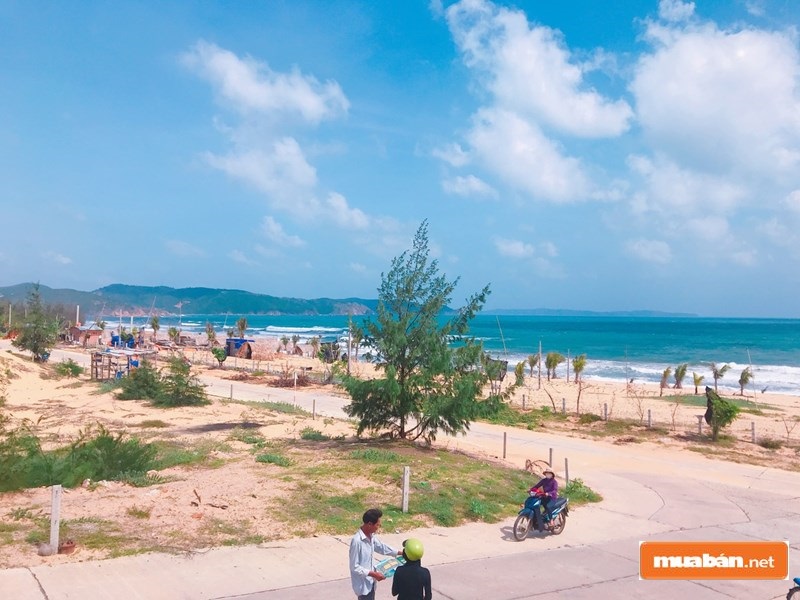 Bán Đất Phú Yên Với Những Tiềm Năng Vượt Bậc 6 Bandatphuyen5