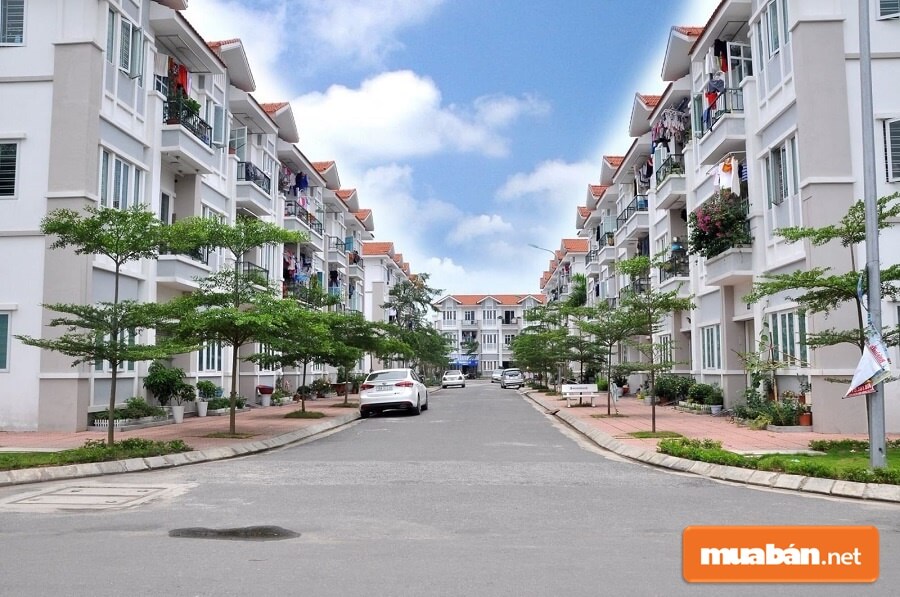 Vài năm trở lại đây thị trường nhà đất Hải Phòng trở nên sôi động hơn bao giờ hết.