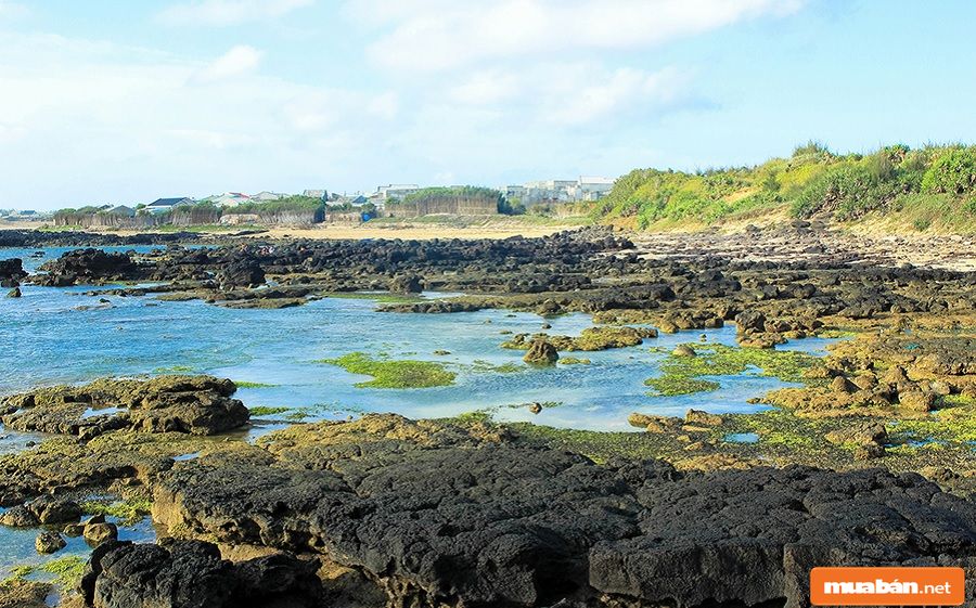 Đảo Phú Quý