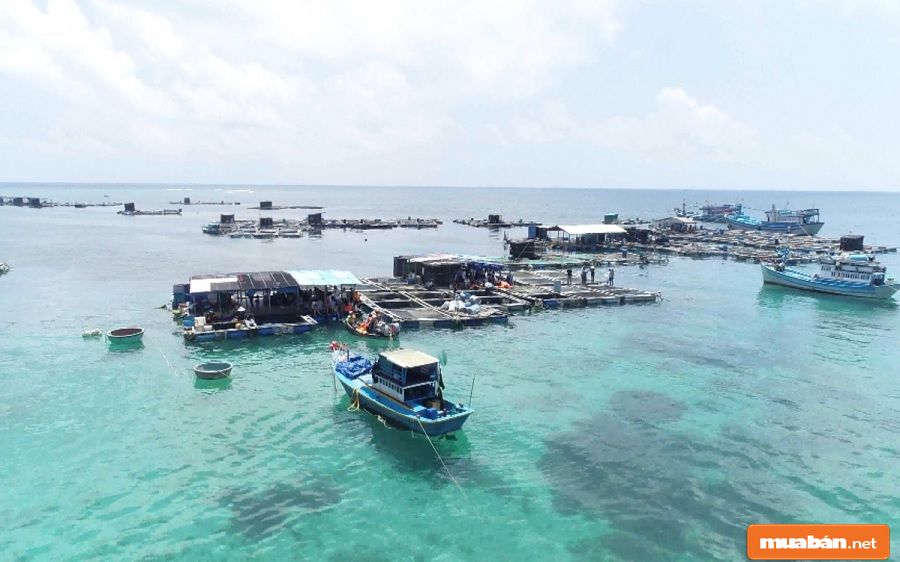 Đảo Phú Quý