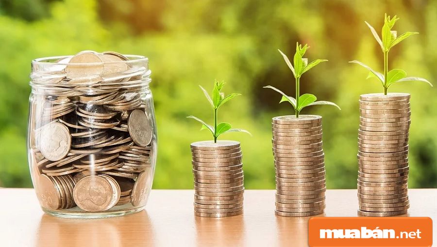 Thuê Phòng Trọ Ngắn Hạn Tphcm Nhanh Nhờ 5 Điều Này 5 Bạn Nên Tìm Hiểu Kỹ Nhu Cầu Và Tìm Thuê Phòng Theo Khả Năng Tài Chính Của Mình.