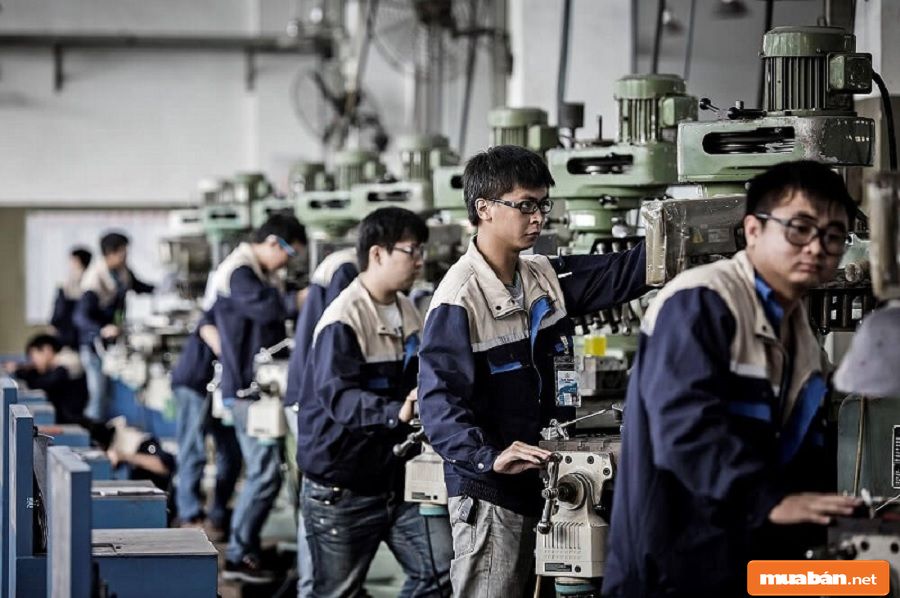 Việc tìm người Long An