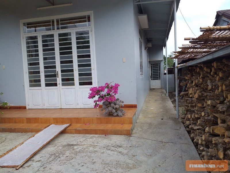 Mua Nhà Ở Gò Vấp Dưới 1 Tỷ: Lựa Chọn Nào Cho Bạn? 2 Nhu Cầu Mua Nhà Giá Rẻ Trong Thực Tế Rất Cao