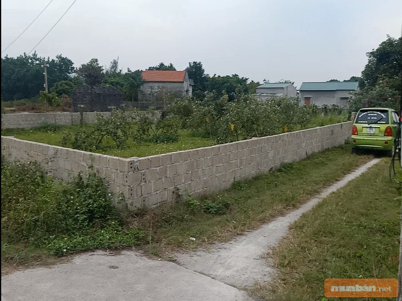 Mua Nhà Ở Gò Vấp Dưới 1 Tỷ: Lựa Chọn Nào Cho Bạn? 3 Mua Đất Cũng Là Một Lựa Chọn Không Tồi