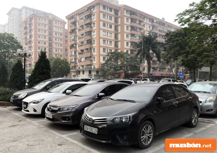 Thuê Xe Tự Lái Hay Thuê Xe Có Lái Tốt Hơn? 5 Tùy Thuộc Vào Nhu Cầu Và Mục Đích Sử Dụng Để Bạn Chọn Hình Thức Thuê Xe Phù Hợp.