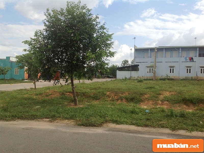 Đất Nền Dự Án: Bí Quyết Đầu Tư An Toàn, Hiệu Quả 4 Đất Nền Dự Án 14