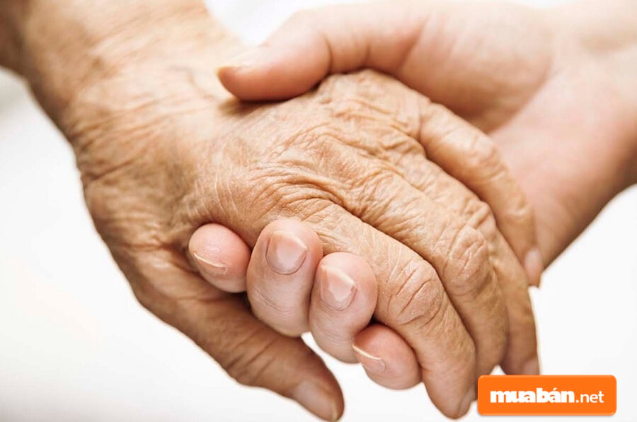 Lễ Vu Lan là một trong các ngày đại lễ của đạo Phật để tưởng nhớ công ơn và báo hiếu cha mẹ, ông bà, tổ tiên.
