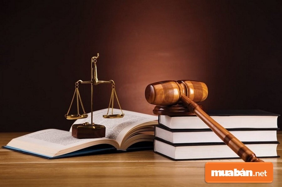 Thuê Nhà Nhất Định Phải Lưu Ý Tính Pháp Lý! 6 Cá Nhân Và Hộ Gia Đình Có Nhà Ở Cho Thuê Phải Khai Báo Lưu Trú. Hoặc Yêu Cầu Khách Khai Báo Theo Quy Định Của Pháp Luật Vn.