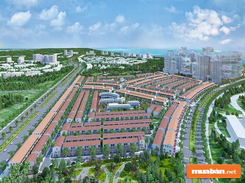 Nhơn Hội New City - Dự Án Với Sức Hút Vàng 6 Nơi Đây Mang Tới Cho Cư Dân Môi Trường Sống Xanh Tươi, Trong Lành