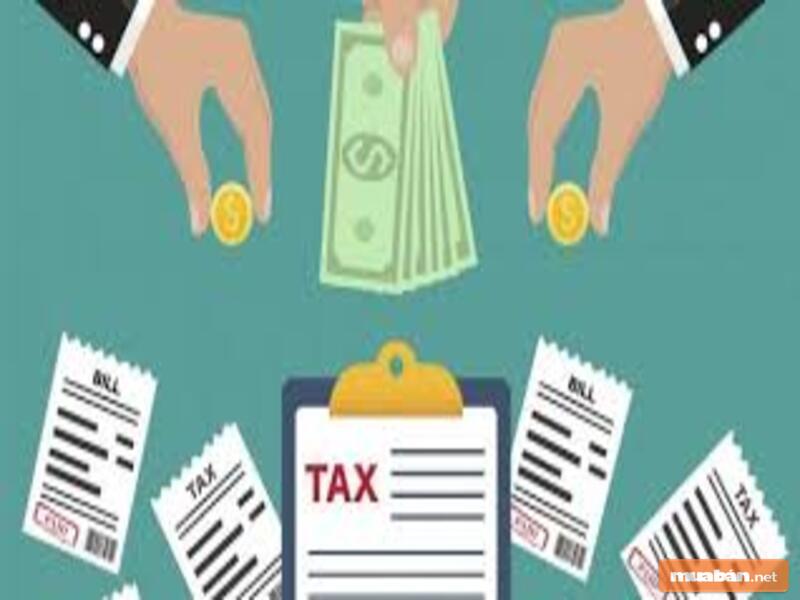 Nộp Thuế Môn Bài Qua Mạng 2020 Như Thế Nào? 7 Hy Vọng Những Thông Tin Này Thực Sự Giúp Ích Cho Bạn Trong Quá Trình Tìm Nhà