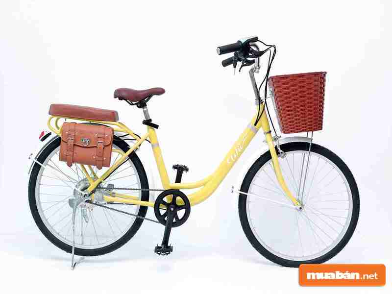 Xe Đạp Giá Rẻ: Làm Sao Để Mua Được Hàng Chất Lượng 2 Nhu Cầu Mua Xe Đạp Trong Thực Tế Đang Ngày Càng Tăng Cao